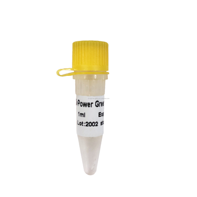 Сила зеленое QPCR смешивает низкое смешивание в реальном времени P2101a P2102a PCR ROX+