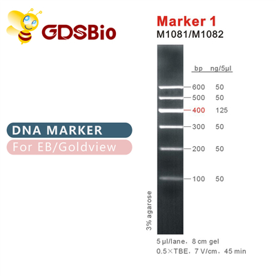 Лестница M1081 ДНК отметки 1 (50μg) /M1082 (50μg×5)