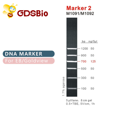 Лестница M1091 ДНК отметки 2 (50μg) /M1092 (50μg×5)