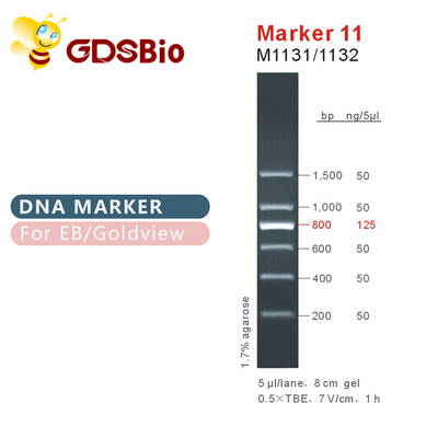 Лестница M1131 ДНК отметки 11 (50μg) /M1132 (5×50μg)