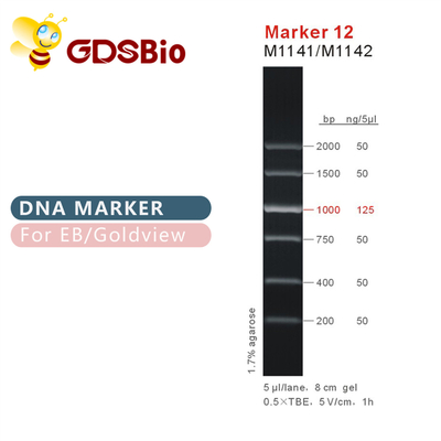 Лестница M1141 ДНК отметки 12 (50μg) /M1142 (5×50μg)