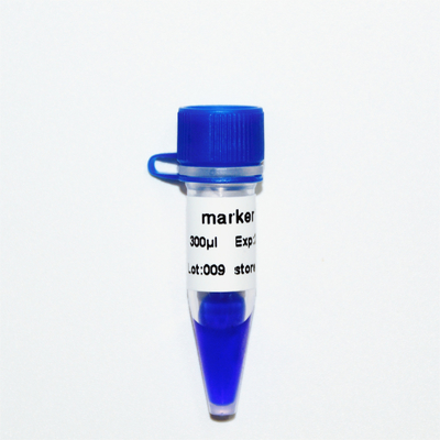 Лестница M1141 ДНК отметки 12 (50μg) /M1142 (5×50μg)