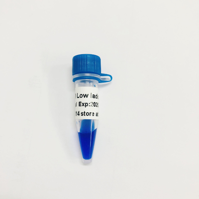 Отметка LM1031 ДНК лестницы LD низкая (60 приготовлений уроков) /LM1032 (60 preps×3)