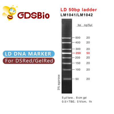 Лестница отметки электрофореза геля LM1041 GDSBio LD 50bp