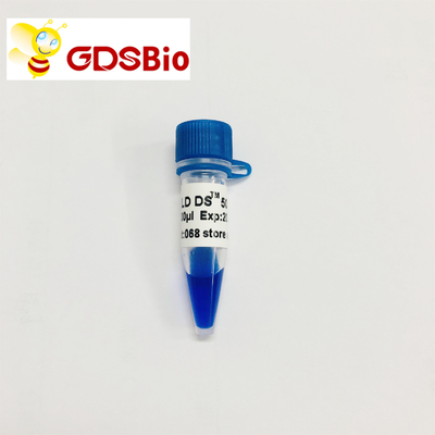 Возникновение электрофореза отметки ДНК GDSBio LD DS 5000 голубое