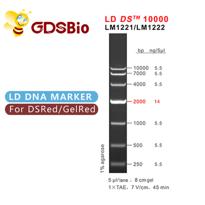 реагенты особой чистоты электрофореза лестницы ДНК 10000bp 10kb