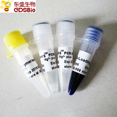 Полимераза ДНК P1071 PCR QPCR FS Taq P1072 P1073 P1074