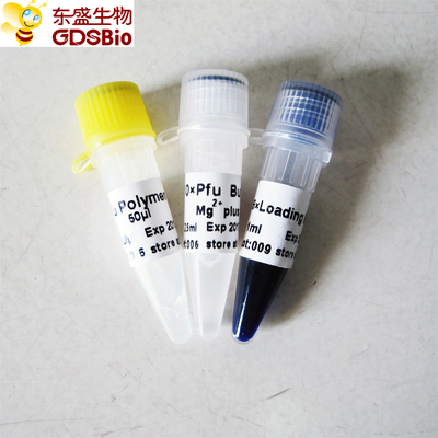Полимераза ДНК Pfu для PCR P1021 P1022 P1023 P1024