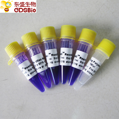 набор HS смешивания PCR 1ml×5 мастерский для нуклеинового кисловочного обнаружения P3082 PCR