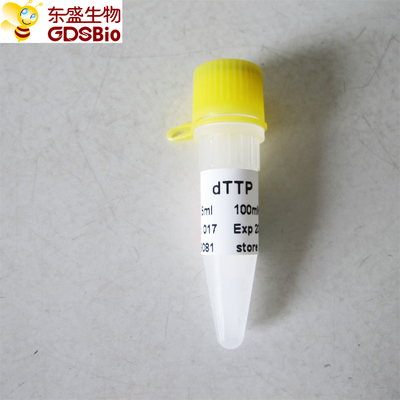 dTTP #P9081 1 мл ПЦР qPCR