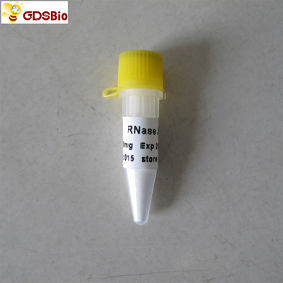 РНКаза продуктов mg N9046 100 in vitro диагностическая порошок