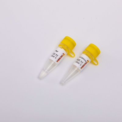 Реагенты R3001 2000U PCR Transcriptase обратного золота
