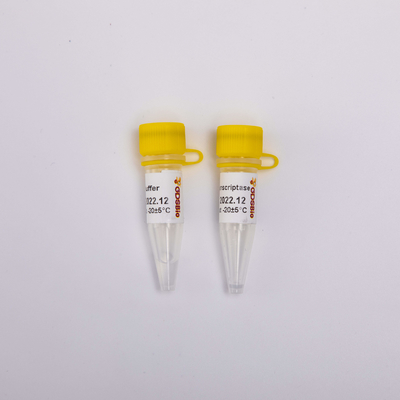 Реагенты R3001 2000U PCR Transcriptase обратного золота