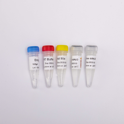 Смешивание PCR RT для обратных реагентов R1031 100 Rxns PCR Transcriptase