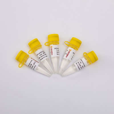 Набор 2019-NCoV-AbEN Pseudovirus V1001 V1002 V1003 очищения GDSBio нуклеиновый кисловочный