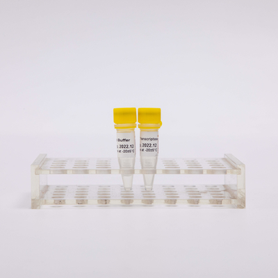 возникновение PCR R3002 Transcriptase обратного золота 10000U бесцветное