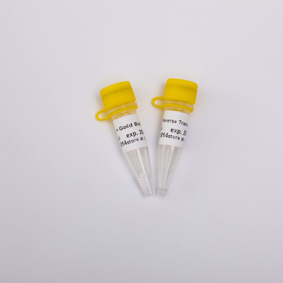 возникновение PCR R3002 Transcriptase обратного золота 10000U бесцветное