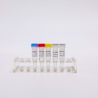 Смешивание PCR R1031 GDSBio RT для QPCR смешало заранее обратные реагенты PCR Transcriptase