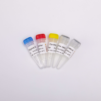 Реагенты PCR Transcriptase обратного GDSBio