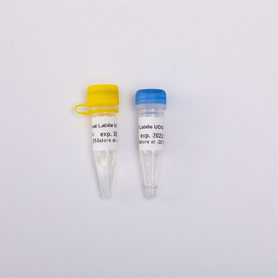 Нагрейте биологию лабильного анти- энзима загрязнения UDG молекулярную для QPCR R5001 1 U/μL