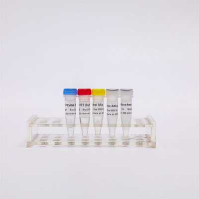 Смешивание синтеза RT-PCR стренги CDNA R1031 GDSBio первое для QPCR смешало заранее реагенты PCR Transcriptase обратного РИБОНУКЛЕИНОВОЙ КИСЛОТЫ